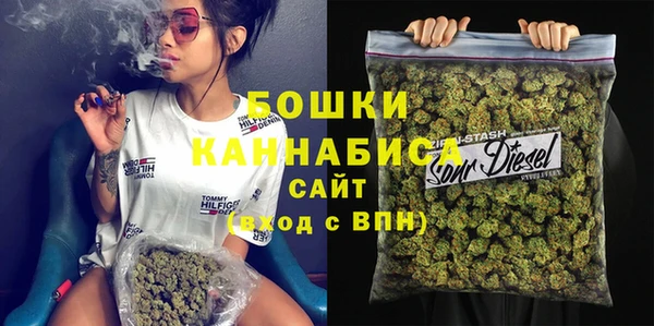 хмурый Бородино