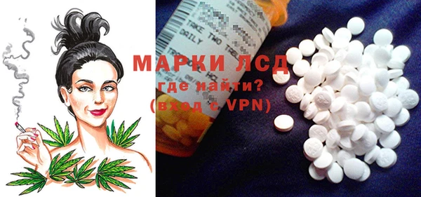 хмурый Бородино