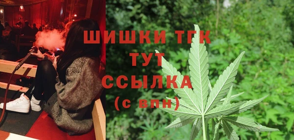 хмурый Бородино