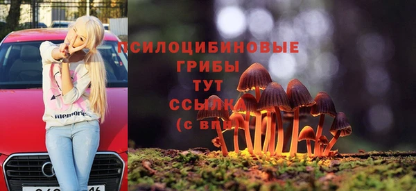 прущие крисы Бугульма