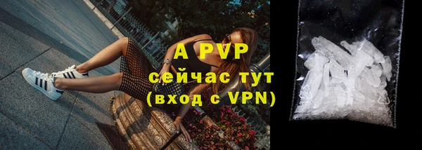 хмурый Бородино