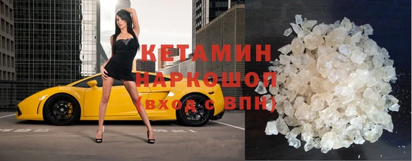крисы Верея