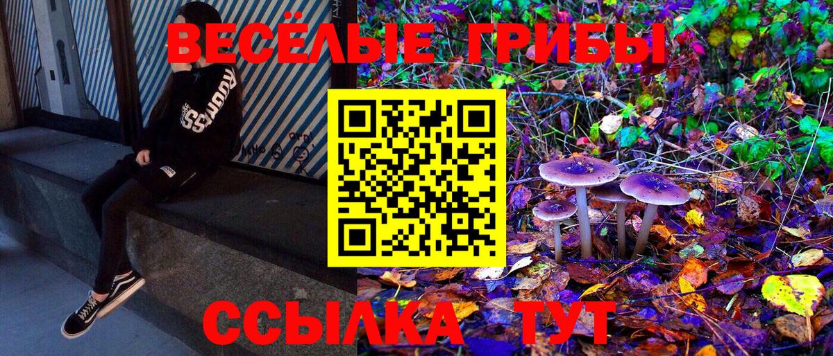 Галлюциногенные грибы Magic Shrooms  Буйнакск 