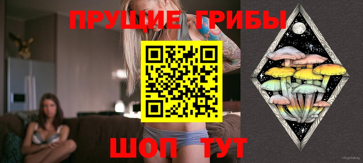 Галлюциногенные грибы MAGIC MUSHROOMS Буйнакск