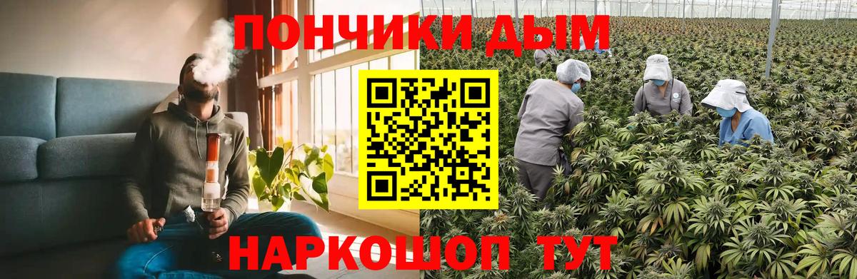 Каннабис индика Буйнакск